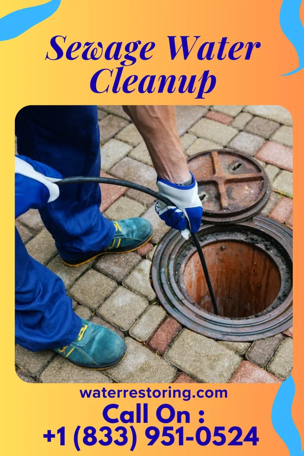 Sewage Water Cleanup in Grayson, MO