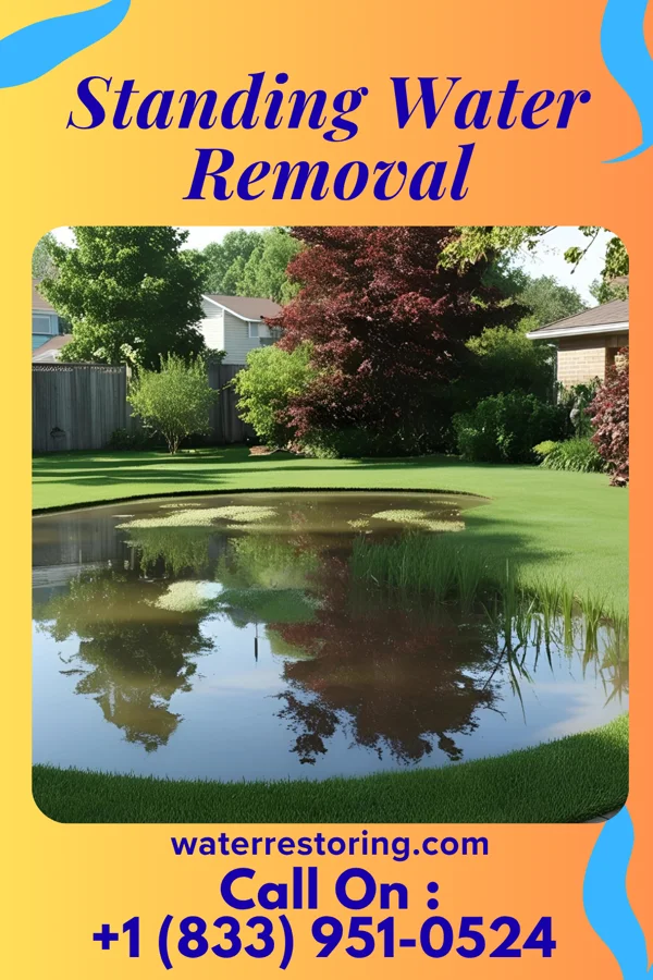 Standing Water Removal in Grayson, MO